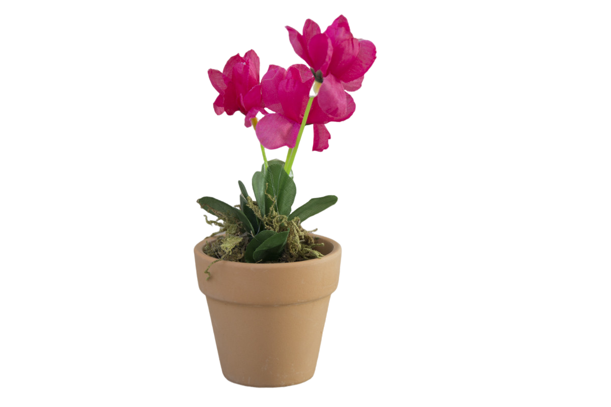 Planta Artificial Maceta de Barro Natural para Decoración 2 Unidades ROSA