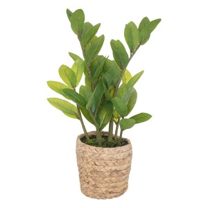 PLANTA ARTIFICIAL...