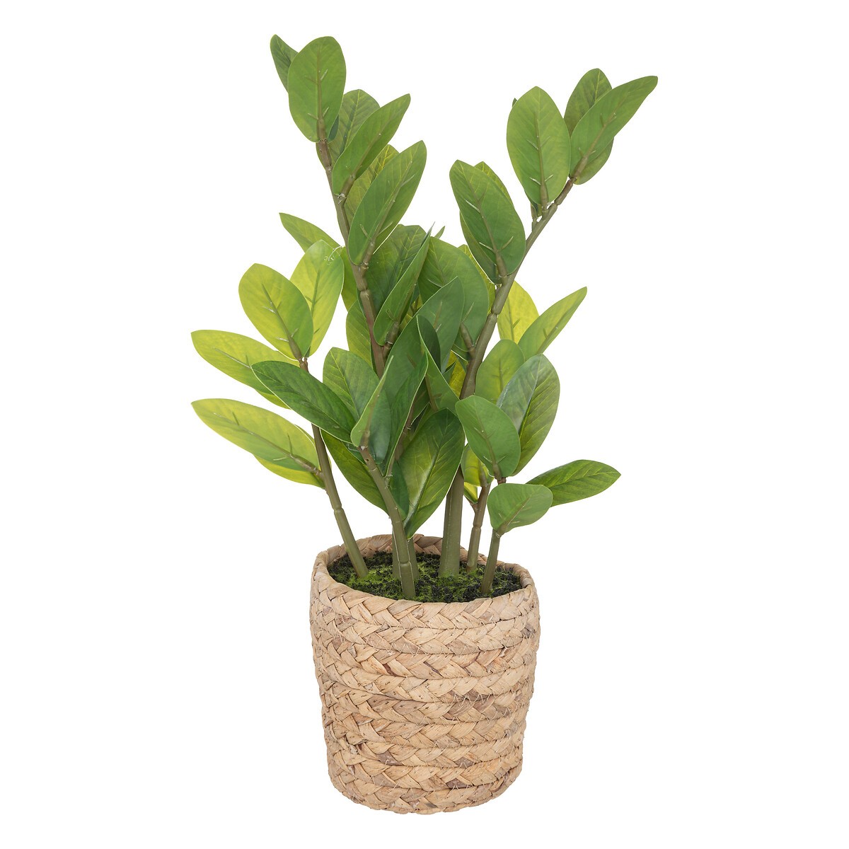 PLANTA ARTIFICIAL...