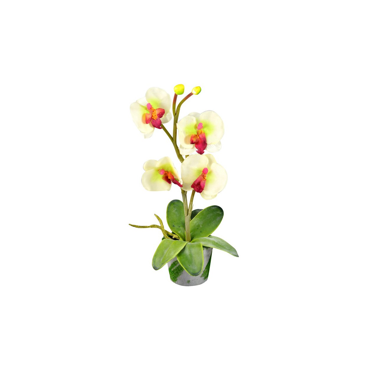 Planta Orquidea artificial con maceta (27x12 cm)