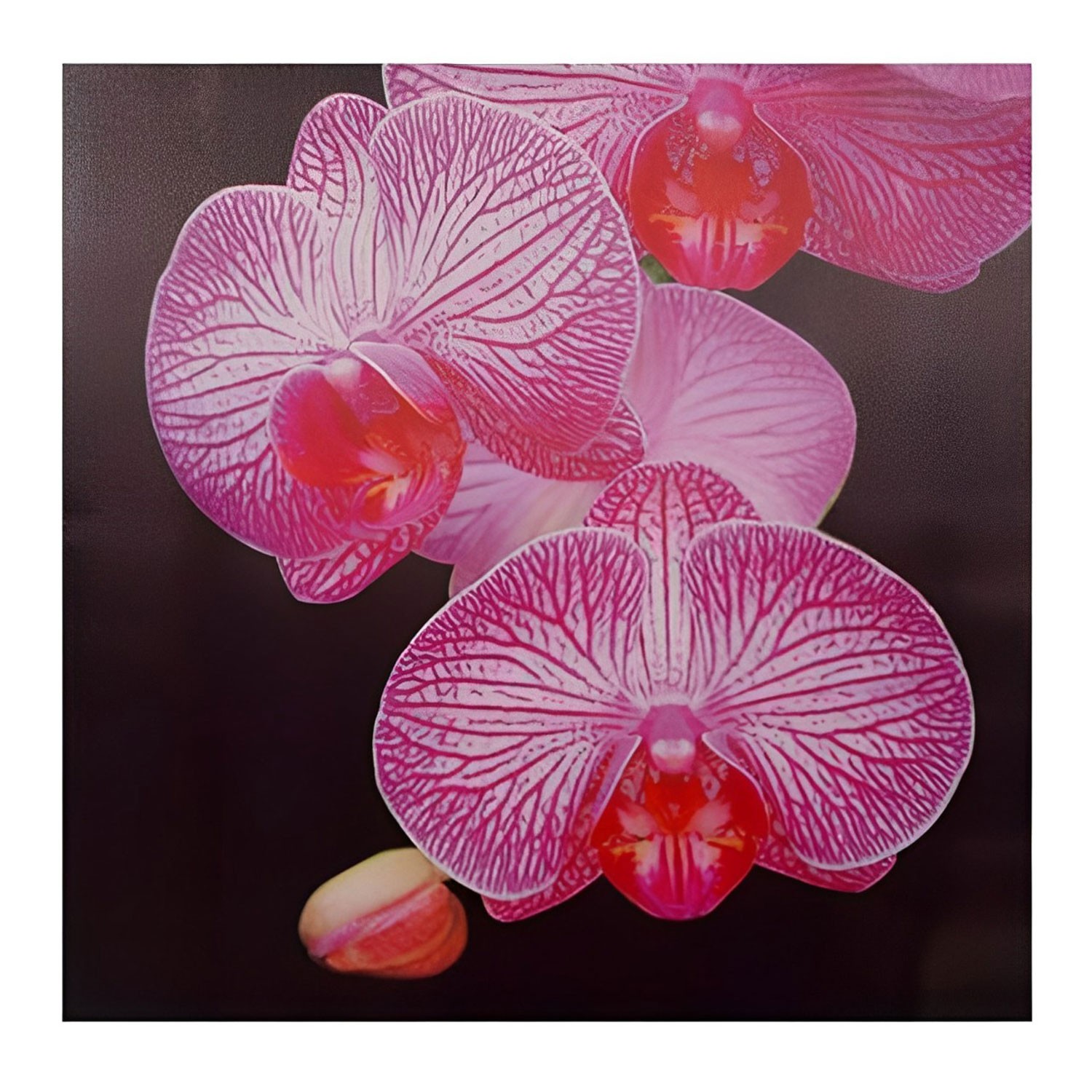 Canvas of pink flowers on...