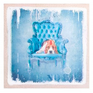 CUADRO DECORATIVO LIENZO DE LINO PERROS AZUL 40X40X1,8CM