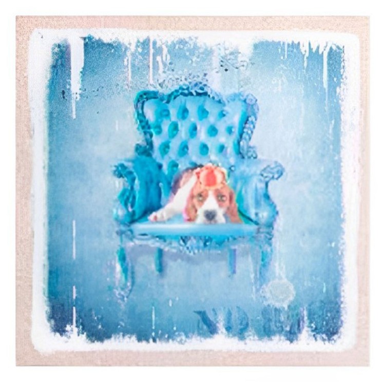 CUADRO DECORATIVO LIENZO DE LINO PERROS AZUL 40X40X1,8CM