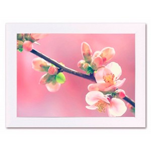 CUADRO DECORATIVO FLORES CON MARCO FOTOIMPRESIÓN 40X30X1,5CM