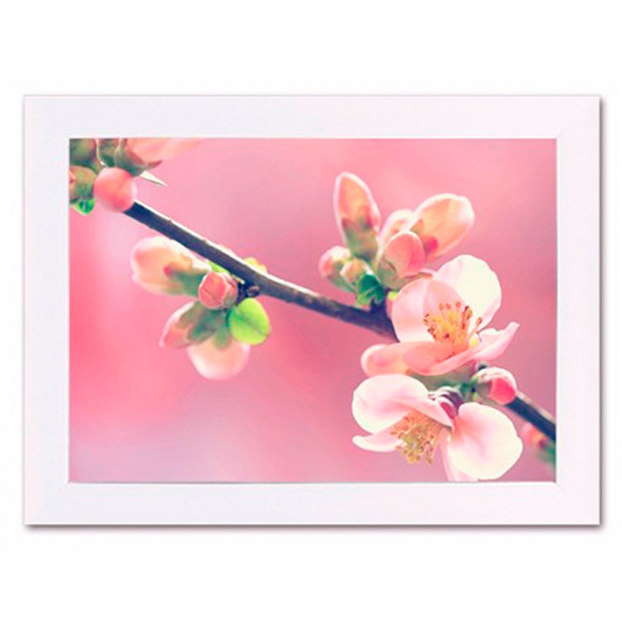 CUADRO DECORATIVO FLORES CON MARCO FOTOIMPRESIÓN 40X30X1,5CM