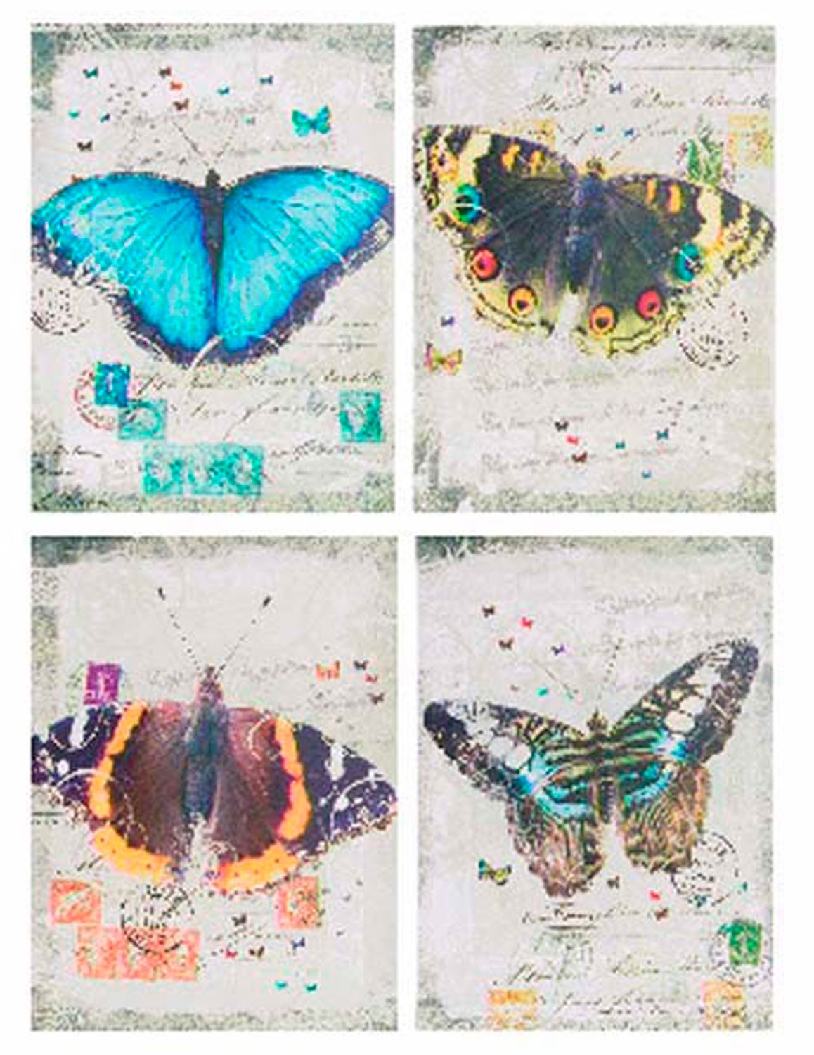 Modèle Box papillon toile...