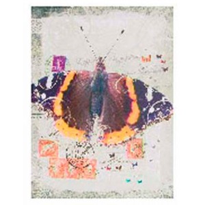 CUADRO DECORATIVO LIENZO MARIPOSA 30X40X1,5CM