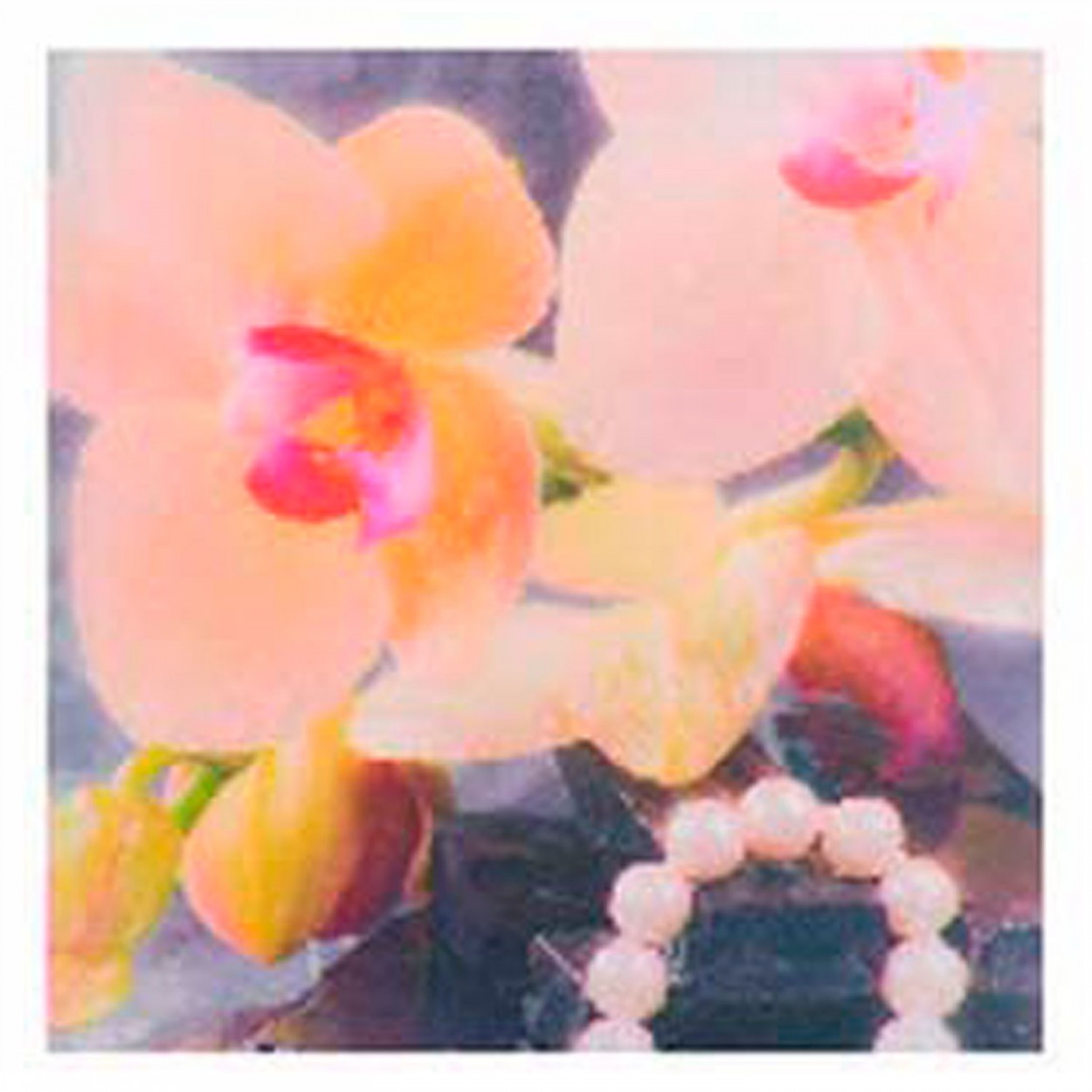 CUADRO DECORATIVO LIENZO ORQUÍDEA 40X40X1,5CM