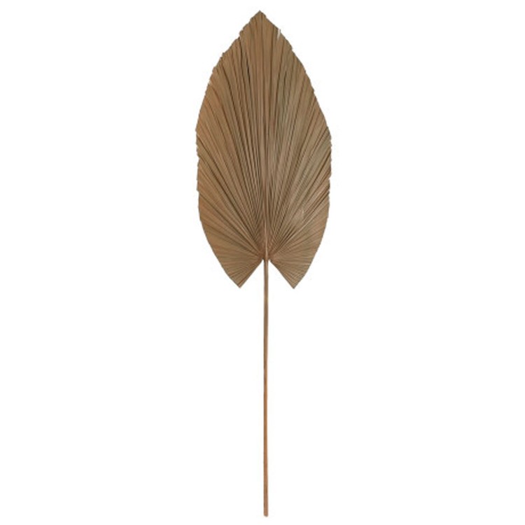 RAMA PALMERA HOJA DECORATIVA NATUR 35X1X120CM